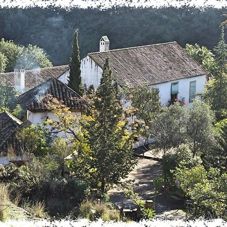 Вилла Cortijo Casas Viejas Малага Экстерьер фото