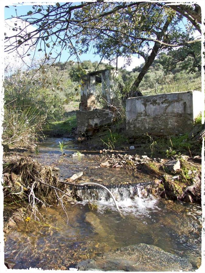 Вилла Cortijo Casas Viejas Малага Экстерьер фото