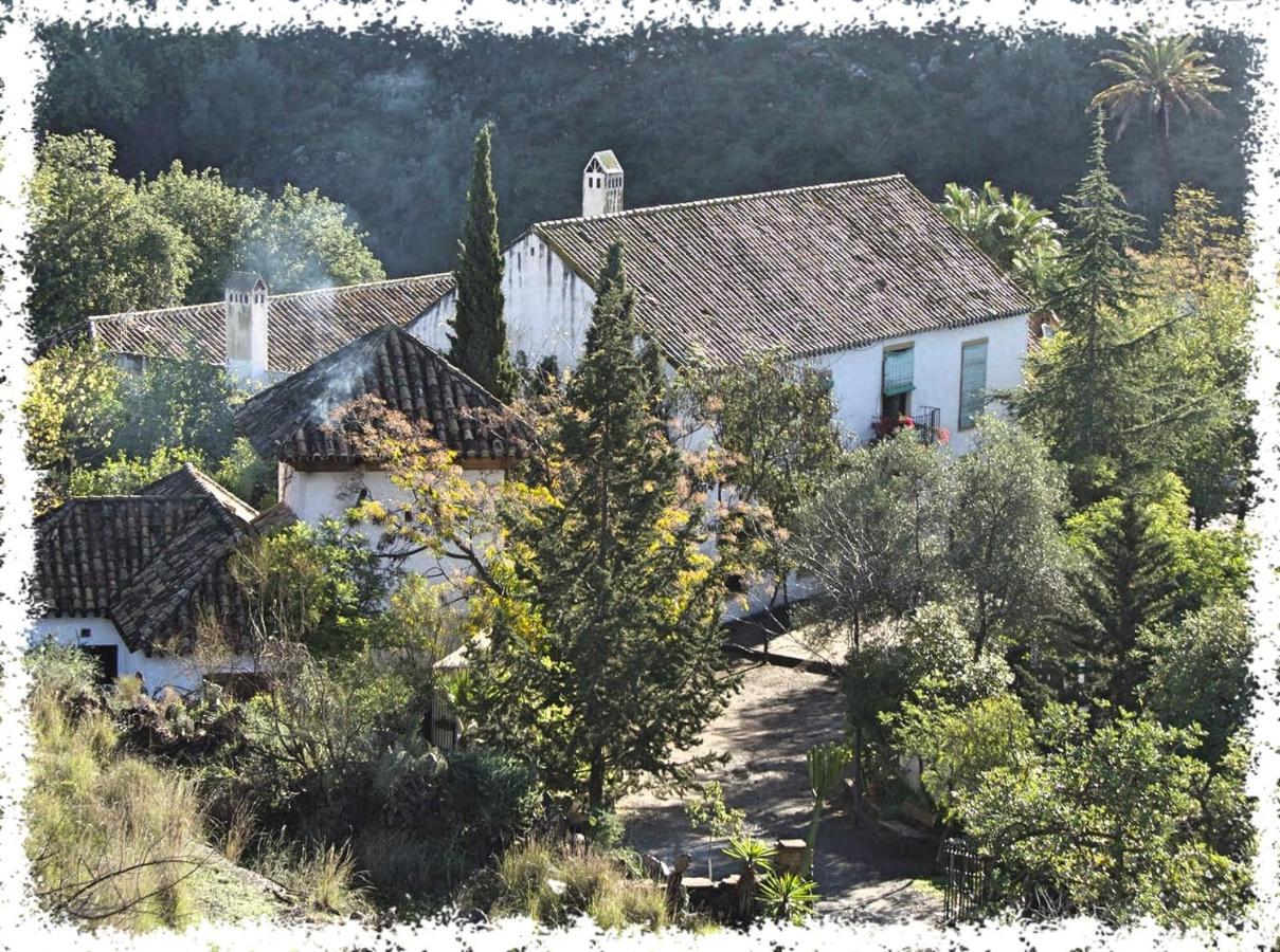 Вилла Cortijo Casas Viejas Малага Экстерьер фото